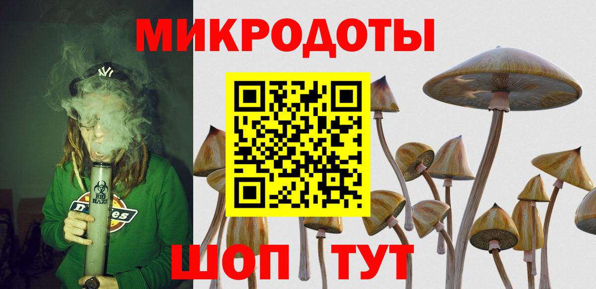 Галлюциногенные грибы Magic Shrooms Соль-Илецк