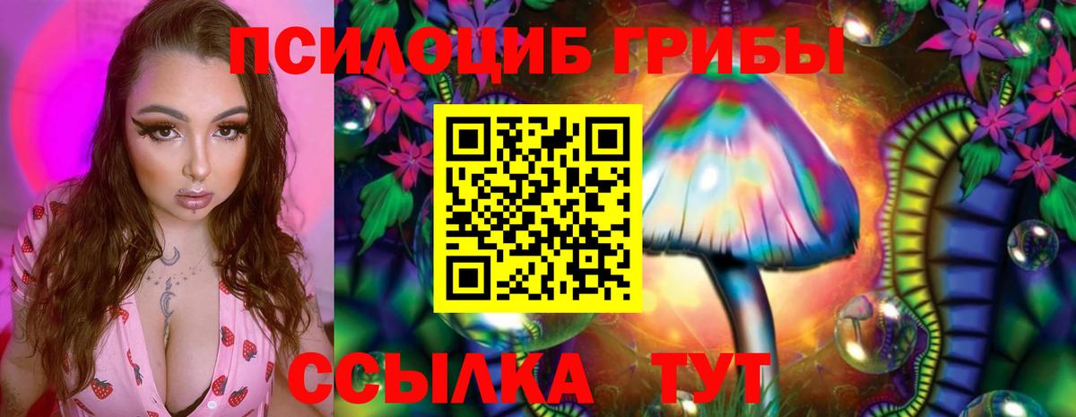 Галлюциногенные грибы мицелий  Галлюциногенные грибы мицелий  Вход с VPN  Соль-Илецк 